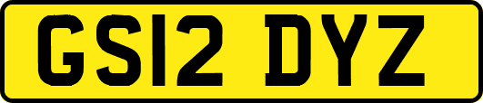 GS12DYZ