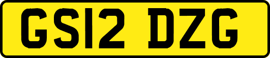 GS12DZG