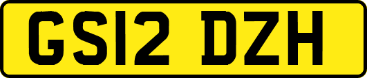 GS12DZH