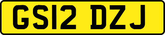 GS12DZJ
