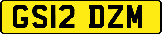 GS12DZM