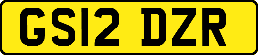 GS12DZR
