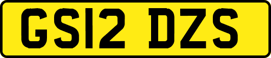 GS12DZS