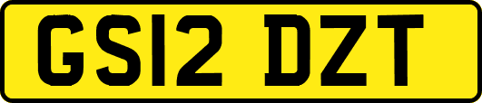 GS12DZT