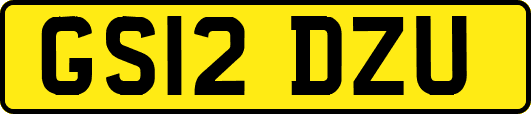 GS12DZU