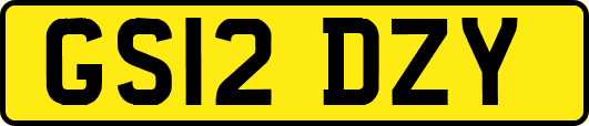 GS12DZY