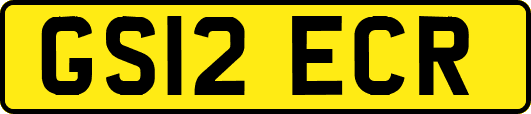 GS12ECR