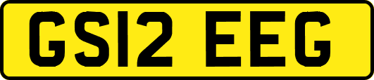 GS12EEG