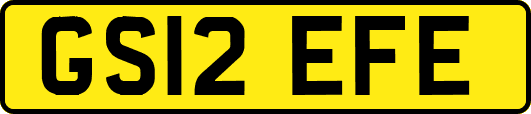 GS12EFE