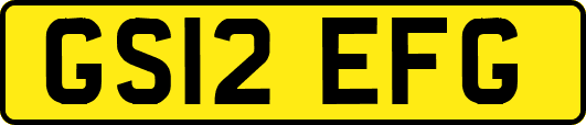 GS12EFG