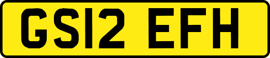 GS12EFH