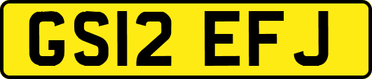 GS12EFJ