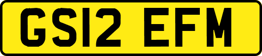 GS12EFM