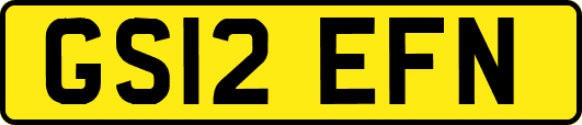 GS12EFN