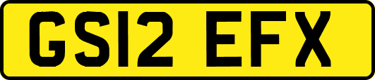 GS12EFX