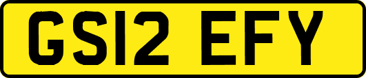 GS12EFY