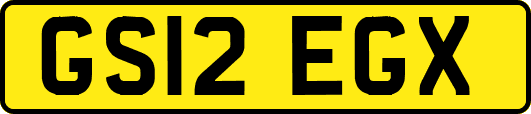 GS12EGX