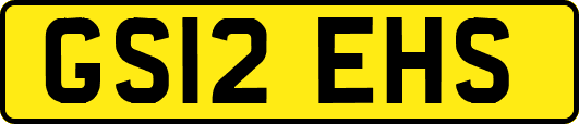 GS12EHS
