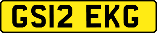GS12EKG