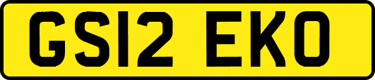 GS12EKO