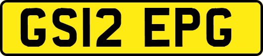 GS12EPG