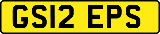 GS12EPS