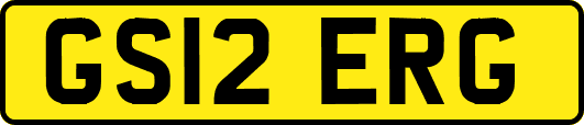GS12ERG