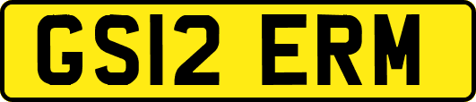 GS12ERM