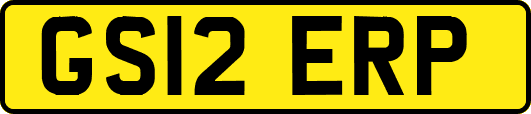 GS12ERP
