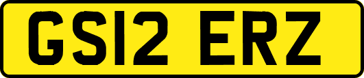 GS12ERZ
