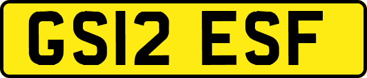 GS12ESF