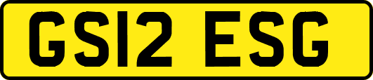 GS12ESG