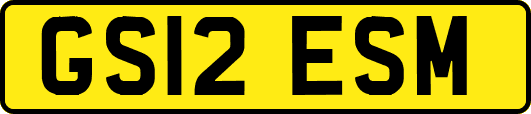 GS12ESM