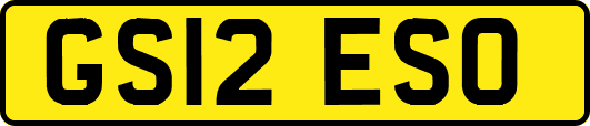 GS12ESO