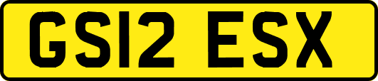 GS12ESX