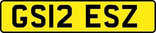 GS12ESZ