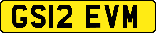 GS12EVM