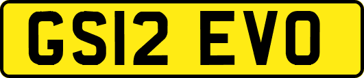 GS12EVO