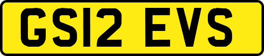 GS12EVS