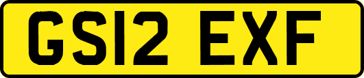 GS12EXF
