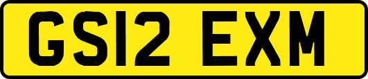 GS12EXM