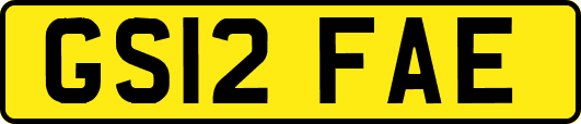 GS12FAE