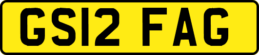 GS12FAG