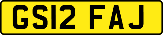 GS12FAJ