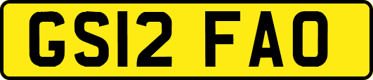 GS12FAO