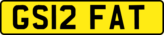GS12FAT