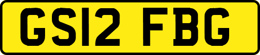 GS12FBG