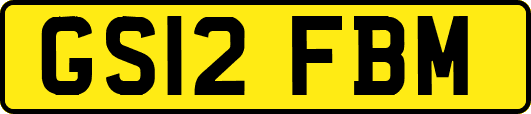 GS12FBM
