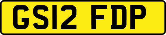 GS12FDP