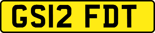 GS12FDT